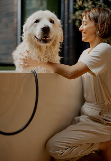 Pet Friendly